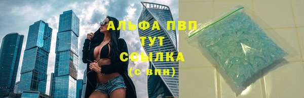 стафф Вязьма