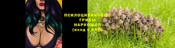 mix Вяземский