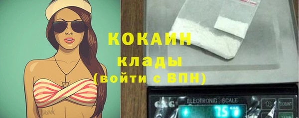 стафф Вязьма