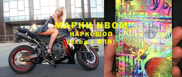 стафф Вязьма