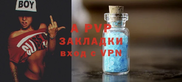 стафф Вязьма