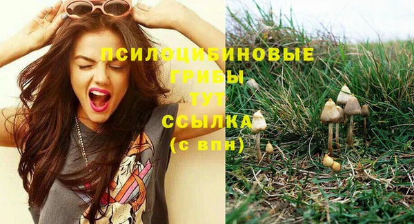 mix Вяземский