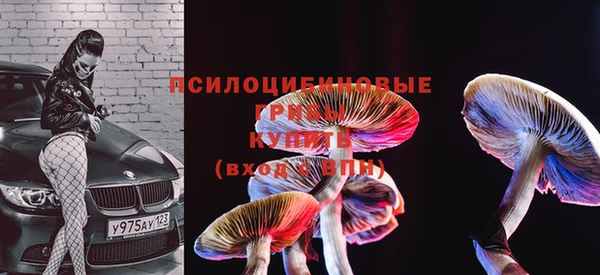 стафф Вязьма