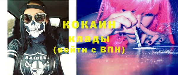 стафф Вязьма
