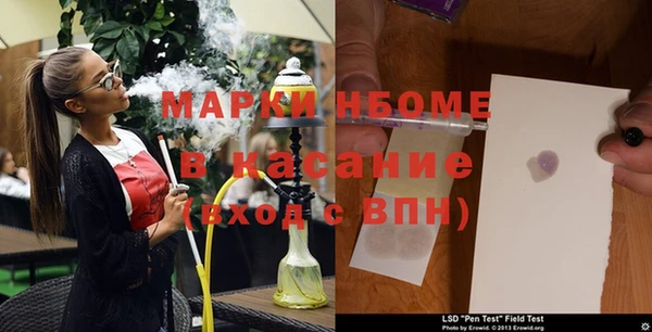 стафф Вязьма