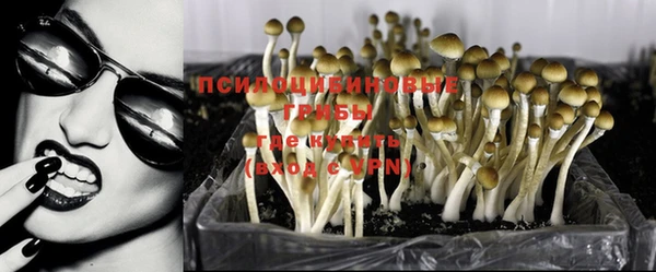mix Вяземский